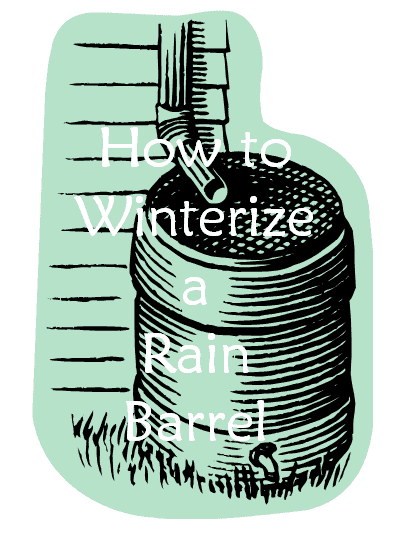 How to winterize your rain barrel.