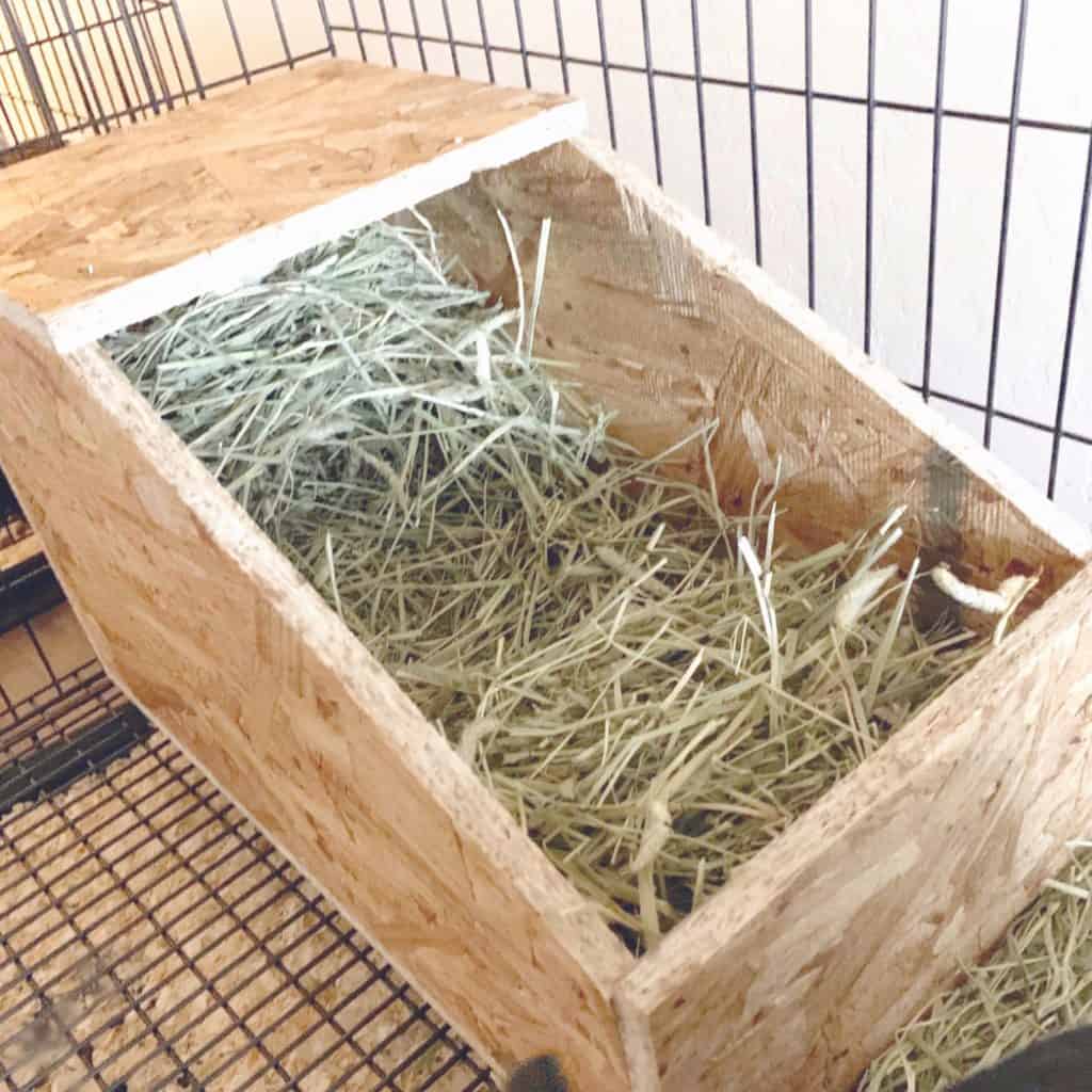how to build a rabbit nest box