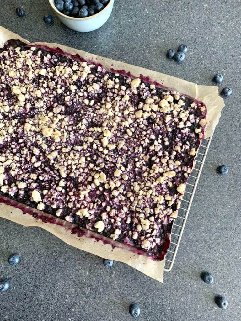 BLUEBERRY CRUMBLE BARS